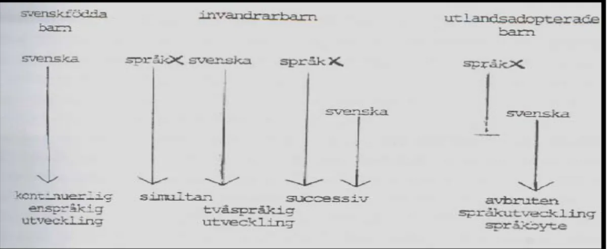 Figur 1. De utlandsadopterade barnens språkinlärningssituation i jämförelse med typsituationen för  svenskfödda barn och invandrarbarn