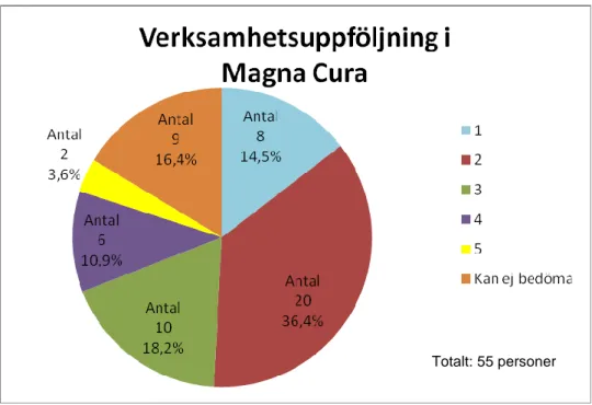 Figur 4-2 Verksamhetsuppföljning i Magna Cura 
