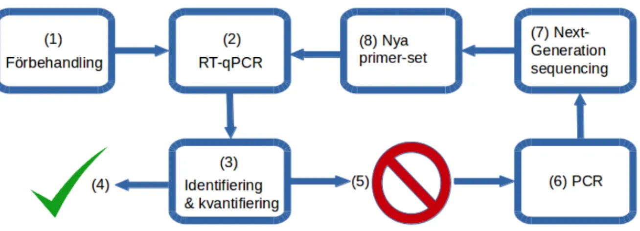 Figur 3: Föreslagen strategi vid detektion av virus. Intaget prov förbehandlas (1) inför RT- RT-qPCR (2)