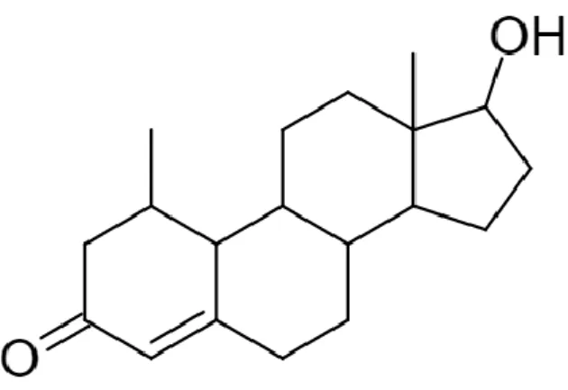 Figur 2. Kemisk struktur för testosteron. Figur omarbetad från (6). 
