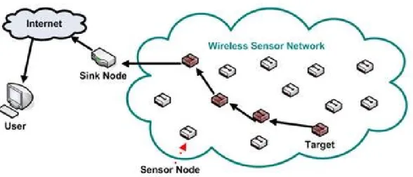 Figure 1: Wireless Sensor Network [48].