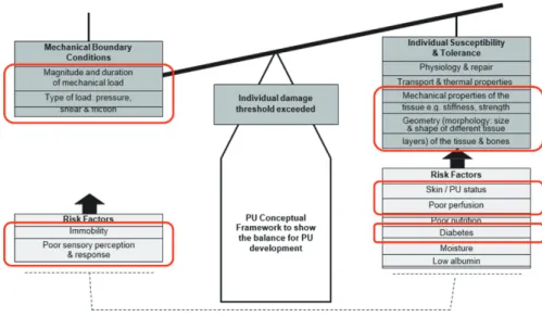 Figure 9 Application of the PI framework by Coleman et al [3] (p.2232, figure 3) to  this research