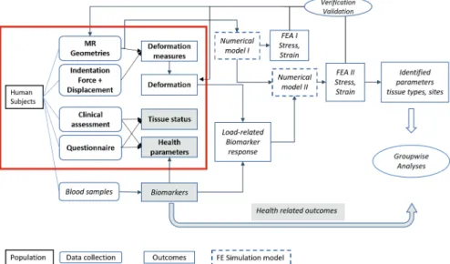 Figure 14 Schematic process of research, as part of PEOPLE. Red border mark  included parts in Study II