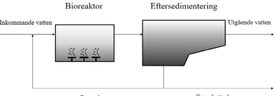 Figur 2: Principskiss av en enkel aktivslamprocess för biologisk rening av organiskt material