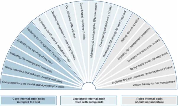 Figur 3.1 visar ERM aktiviteter och indikerar vilka roller en effektiv internrevisions- internrevisions-funktion ska och inte ska inneha