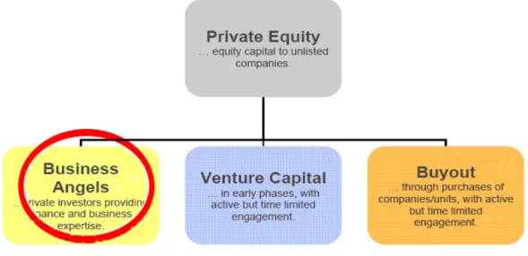 Figure 2.2 - Private Equity. 