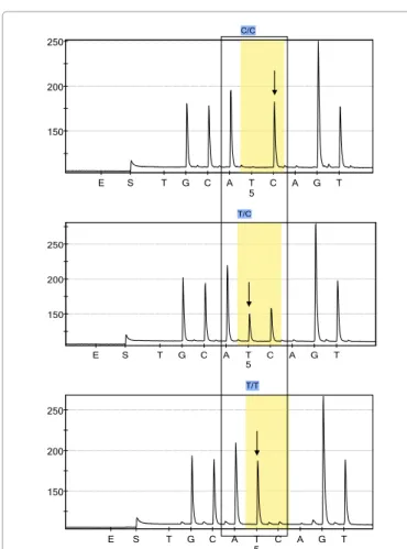 Figure 1: Pyrogram of VEGF rs3025039 polymorphism. Figure1A indicates the wild type genotype (CC) while  Figures 1B and 1C represents the heterozygous (TC) and homozygous (TT) genotypes respectively.