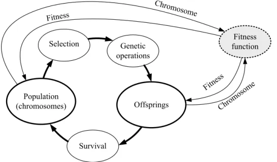 Figure 4.1: The main steps of GA.