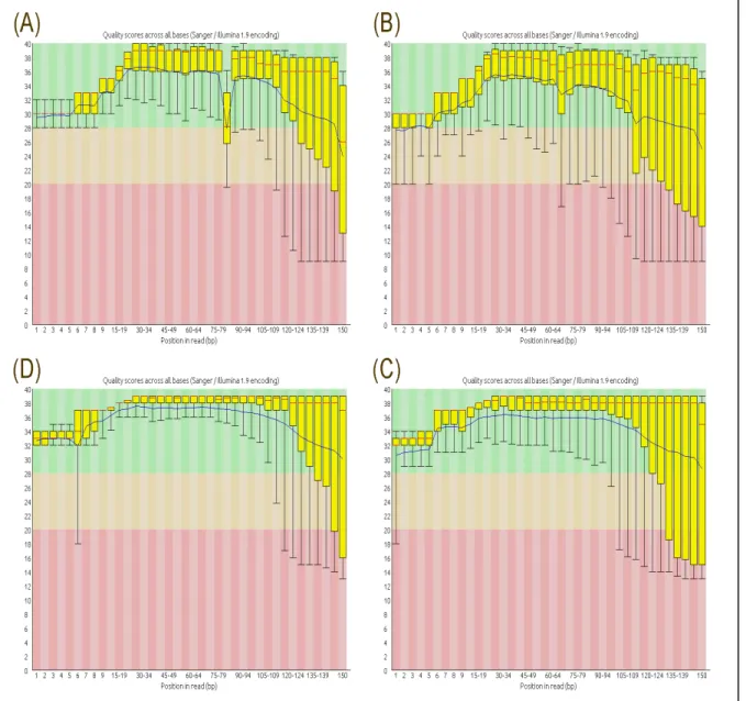 Figure 4: (A) quality score of raw dataset run 1 forward reads; (B) quality score of raw  dataset  run  1  reverse  reads;  (C)  quality  score  of  raw  dataset  run  5  forward  reads;  (D)  quality  score  of  raw  dataset  run  5  reverse  reads