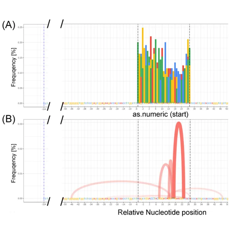 Figure 8: AmpliCan pipeline processed data for synthetic/generated data constrained to 200 mutations  (67%  mutations)  within  the  sequence  for  CNTNAP5  (Contactin  like  protein  AP5)