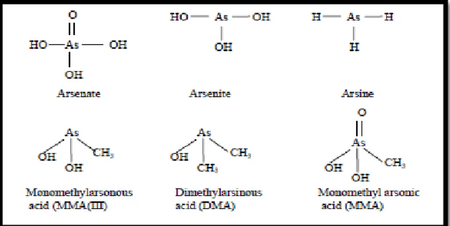Figure 2-2: Some organic and inorganic As compounds. 
