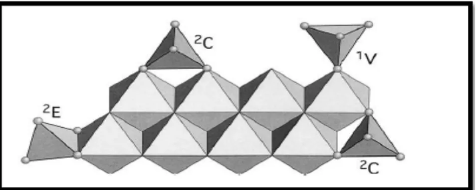 Figure 2-14: Surface complexes of As(V) tetrahedra on iron oxides  (Sherman and Randall, 2003)