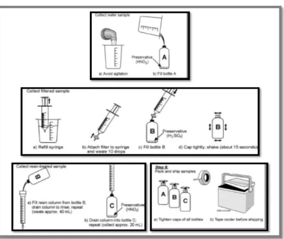 Figure 3-3: Procedure of As field speciation. 