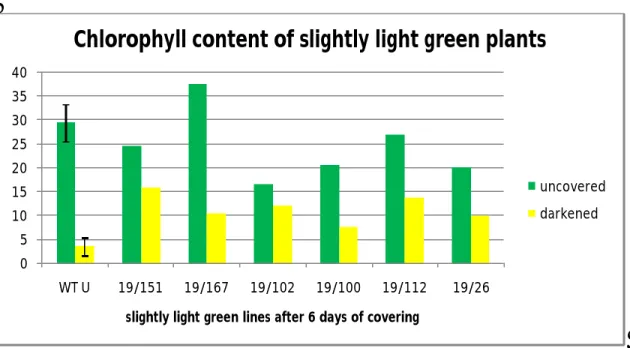 Figure  7:  Changes in  chlorophyll content  of slightly light green plants  after 6 days of  dark incubation period