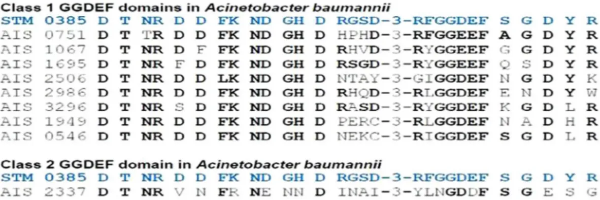 Figure 2.  Conserved domain signature alignment and classification of predicted GGDEF/EAL proteins  in A