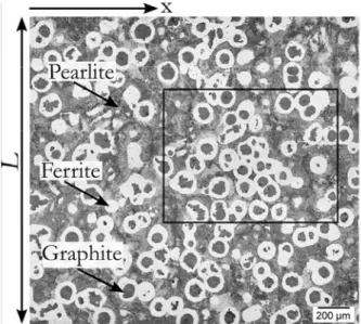 Figure 1. Microstructure of the cast material obtained from the surface of the in-situ tensile sample 5; graphite  particles (dark grey), ferrite (white) and pearlite (lamellar light grey)