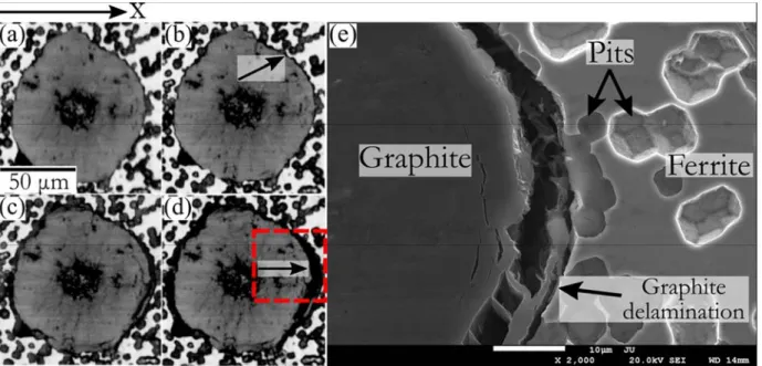 Figure 4 shows a sequence of micrographs from a typical nodular graphite (sample 3) surrounded by  ferrite in four different overall stress levels (load was applied in the x-direction)
