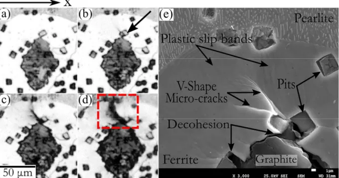 Figure 6. Formation of two micro-cracks and plastic slip bands around an irregular-shape graphite embedded  in ferrite at overall stress levels of: (a) 0 MPa (before deformation), (b) 327 MPa (micro-crack initiation), the  arrow shows the location of the m