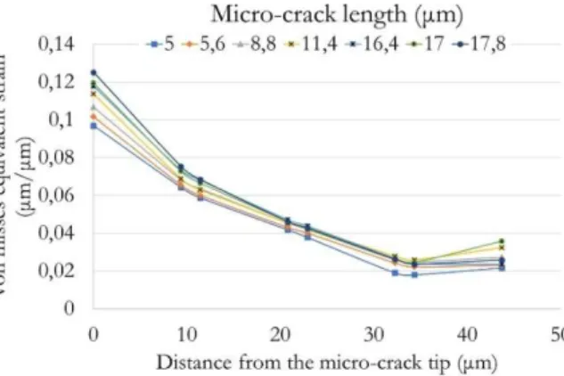 Figure 7. Strain distribution along lines, which were aligned in the propagation direction of the micro-crack  that is presented in Figure 6(b), with respect to the micro-crack length