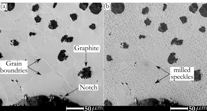 Figure 3. Micrograph recorded from the FOV(1) for sample 1; (a) before FIB milling ,and (b) after FIB milling