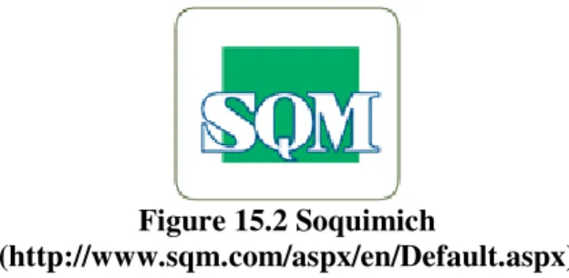 Figure 15.2 Soquimich 