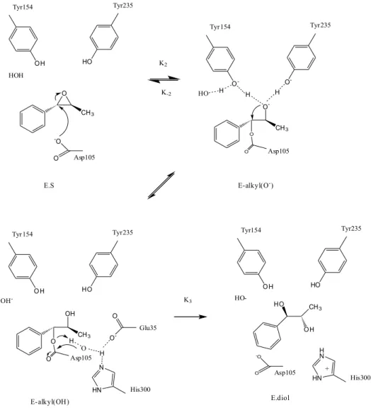 Fig 5. Catalytic mechanism of potato epoxide hydrolase,StEH1 (20).