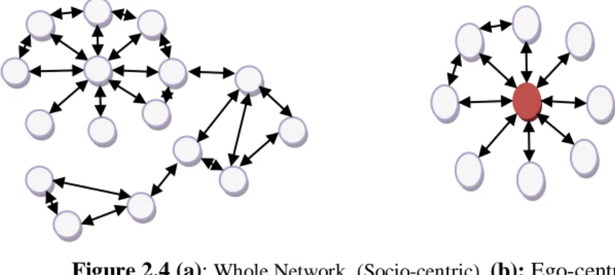 Figure 2.4 (a):  Whole Network  (Socio-centric)   (b): Ego-centric 