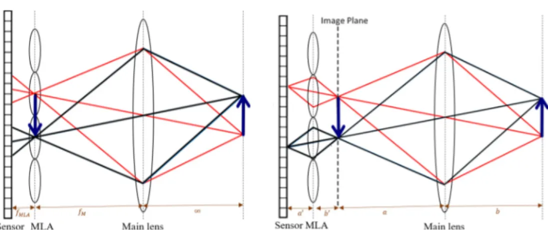 Figure 2.2: Plenoptic cameras utilize an MLA to preserve the directional information of incoming rays