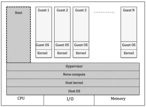 Figure 3.10: OpenStack compute node - conceptual model