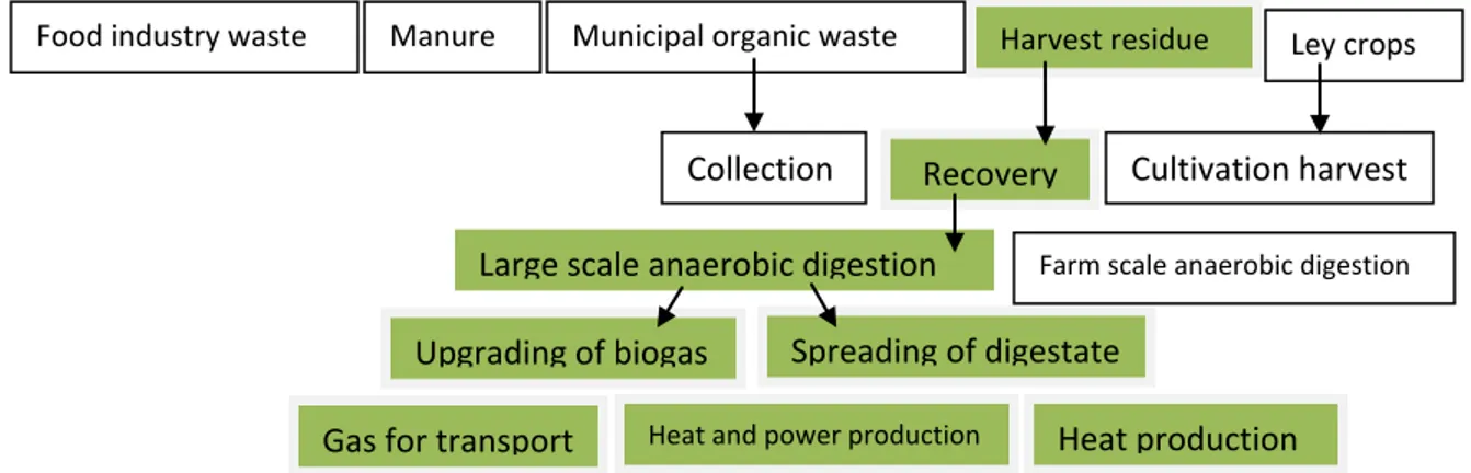 Figure  10  indicates  the  scheme  of  biogas  production  from  a  range  of  different  material
