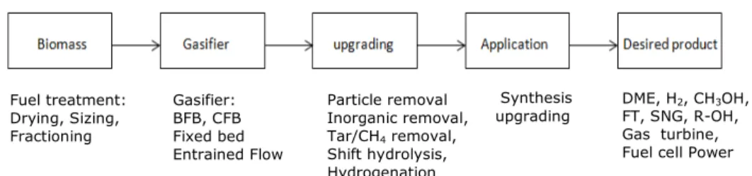 Figure 3. Different steps and processes in gasification systems [6] 