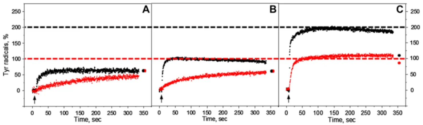 Fig. 2   Kinetics of tyrosine oxidation recorded at 3465 G under con- con-tinuous white light (black traces) or far-red illumination (red traces)  in the reduced Mn-depleted PS II membranes at pH 4.7 (A), pH 6.3  (B), and pH 8.5 (C)
