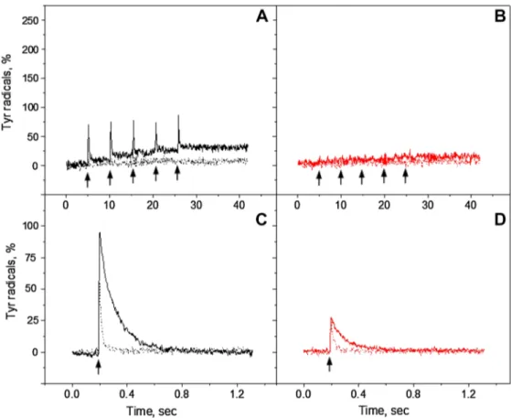 Fig. 6   Tyr Z  and  Tyr D  oxidation kinetics in the reduced Mn-depleted  PS II membranes, induced by a train of five 532 nm (A, black traces)  or 732 nm laser flashes (B, red traces) at pH 6.3 in the presence of  2 mM ferricyanide (solid line) or in the 