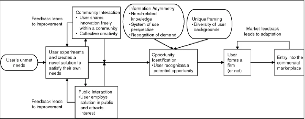 Figure 1: Model of the End-User Entrepreneurial Process 