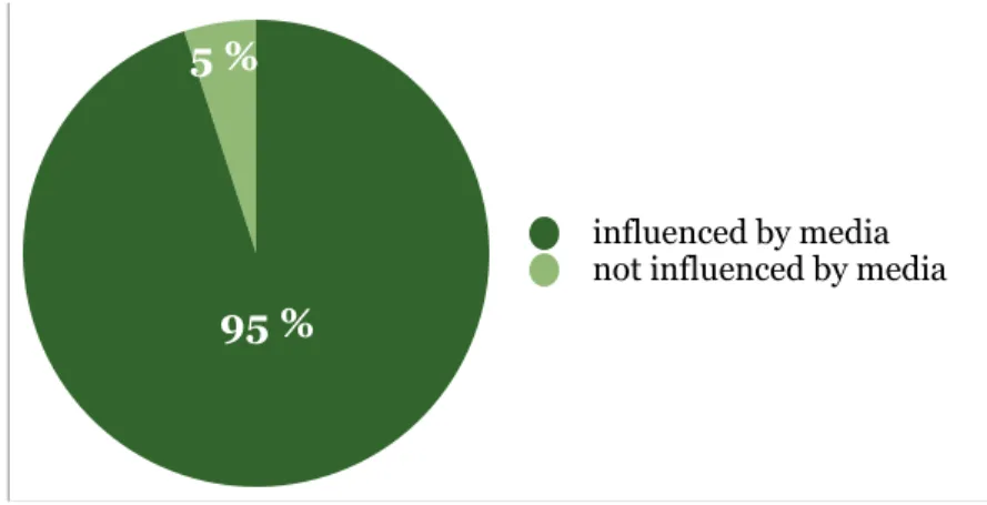 Figure 10: Influence of Media, own figure.  