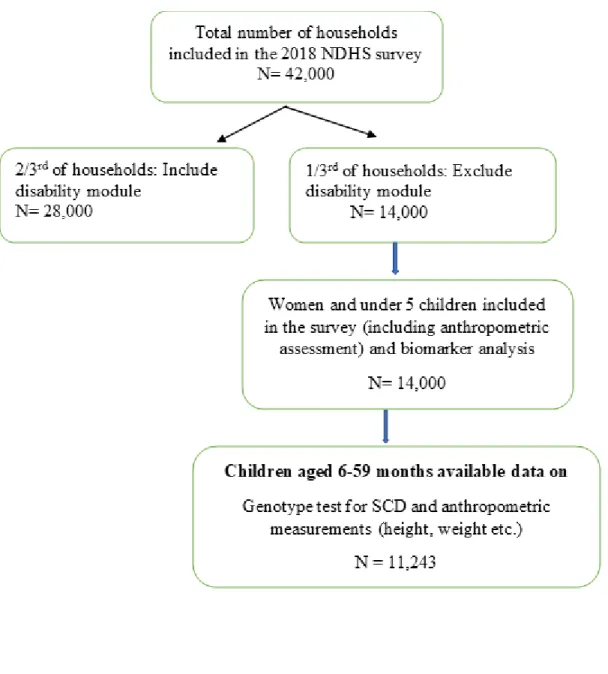 Figure 5: Flow chart displaying household member allocation and a selection of household  for biomarker information in children from 2018 NDHS (21)