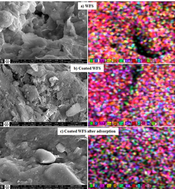 Figure 4 describes the surface morphology of the composite sorbent and WFS using SEM images