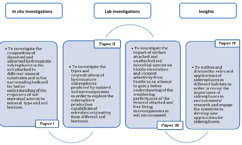 Figure 4. Diagram of the four papers included in the thesis and their objectives. 