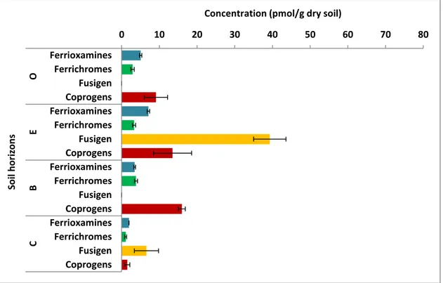 Figure 5. Concentration of dissolved hydroxamate siderophore groups (ferrioxamines, ferriochromes, fusigen  and coprogens) per each soil horizon