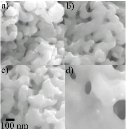 Figure  9a–d  present  the  SEM  images  of  the  reduced  samples  at  923,  1023,  1073  and  1173  K,  respectively. The images clearly show the effect of temperature on the morphology of the samples  after being reduced. As shown in Figure 9a, the crys