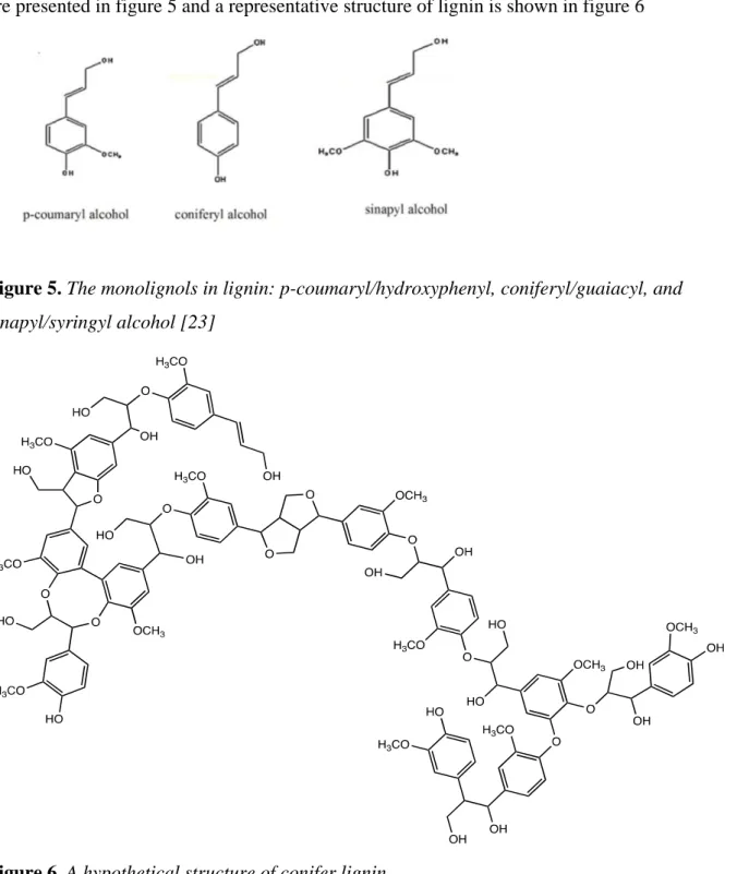 Figure 5. The monolignols in lignin: p-coumaryl/hydroxyphenyl, coniferyl/guaiacyl, and   sinapyl/syringyl alcohol [23]