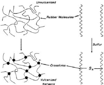 Figure 17. Vulcanization curve [51] 