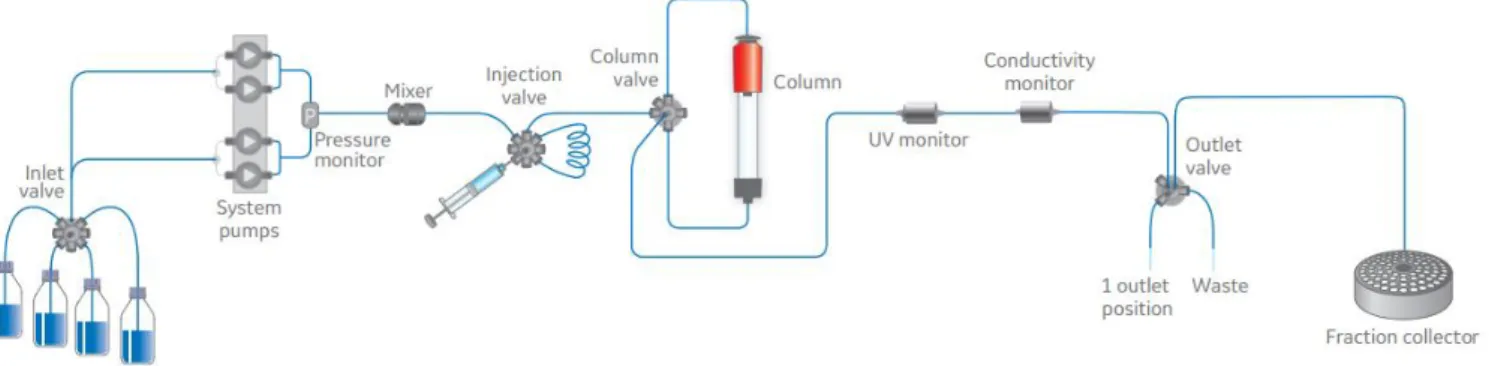 Figur 1. Design av HPLC/UV ÄKTA Pure från GE Healthcare som presenterar de generella komponenterna och stegen som genomförs i en  HPLC/UV system