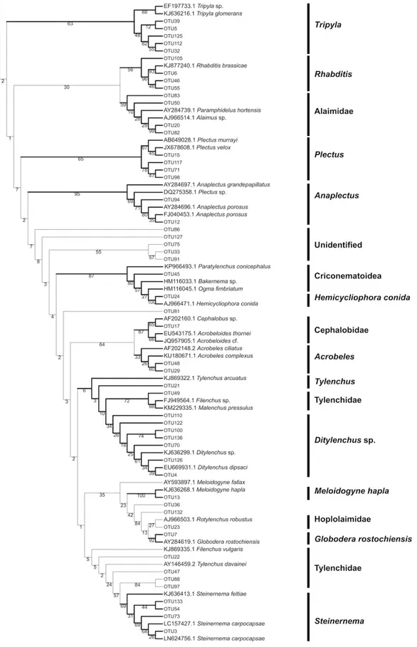 Figure 2. Continued..