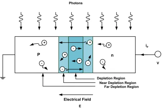 Figure 4 : p-n photodiode under illumination