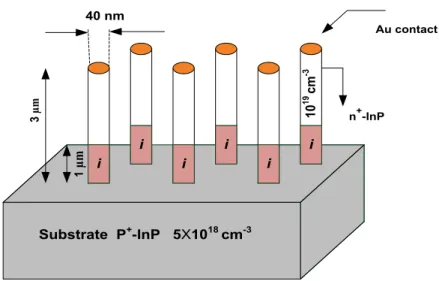 Figure 12 : Schematic of the InP nanowire photodetector
