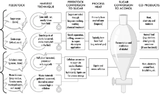 Fig. 3.1 Ethanol production steps by feedstock and conversion  technologies. (adapted from IEA 2004, 35) 