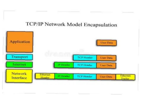 Figur 5: TCP/IP dataöverförings struktur 