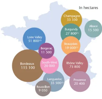 Figure 1: The biggest wine producing areas in France, Trade Organization, 2010.