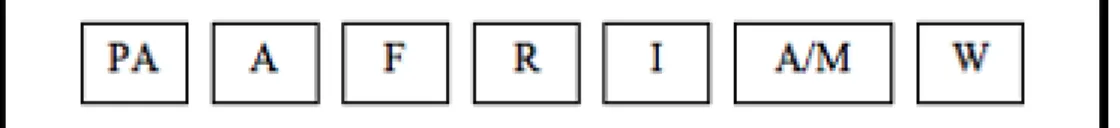 Fig.  1  The  Lifecycle  Model  -  The  letters  in  the  boxes  stand  for:  Pre-Analysis,  Analysis,  Formation, Realization, Implementation, Administration &amp; Management and Winding-up